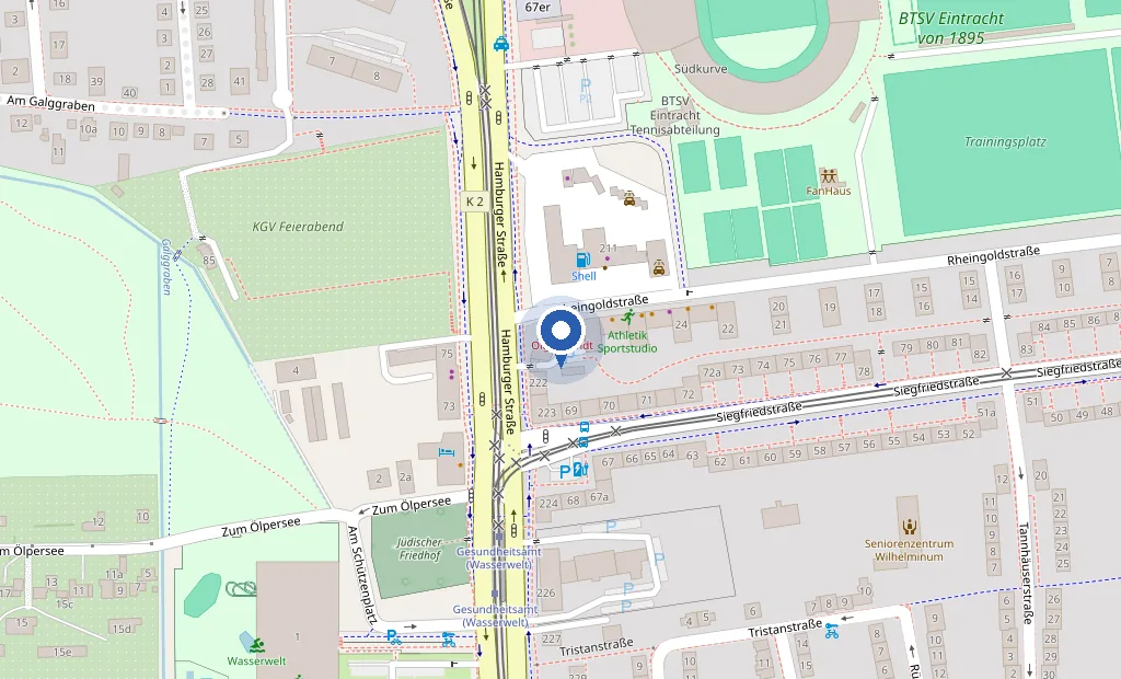 Kartenausschnitt mit dem markierten Standort Rheingoldstraße 29 in 38112 Braunschweig